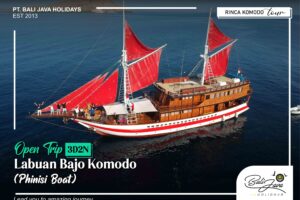 Private Sailing Trips to Komodo Island: A Customizable Journey Through Nature and Adventure