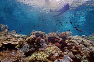 Exploring the Enchanting Destinations of Nusa Tenggara Timur: A Traveler’s Guide