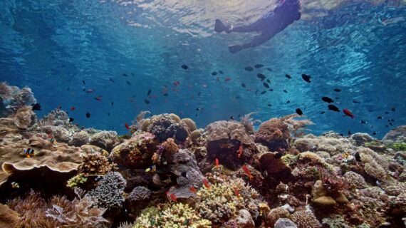 Exploring the Enchanting Destinations of Nusa Tenggara Timur: A Traveler’s Guide