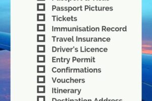 Essential Travel Tips for a Safe and Healthy International Journey