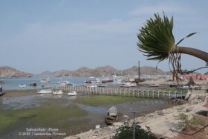 Exploring Labuan Bajo from Bali: A Comprehensive Guide to Travel Options