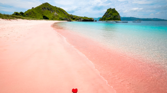 Labuan Bajo: Destinasi Wisata Instagrammable yang Menawarkan Pesona Alam dan Kehidupan Laut yang Mencengangkan