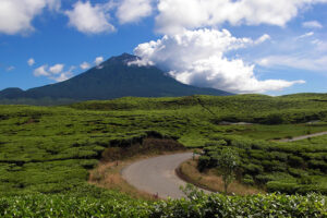 Taman Nasional Kerinci Seblat: Kekayaan Alam dan Warisan Dunia di Sumatra