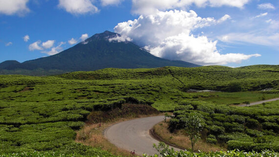 Taman Nasional Kerinci Seblat: Kekayaan Alam dan Warisan Dunia di Sumatra