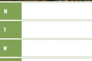 How to Create an Effective Travel Itinerary: A Comprehensive Guide