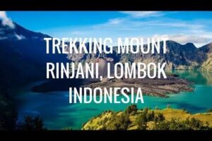 Indonesia: The Ultimate Destination for Adventure Travelers in 2024