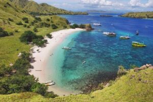 Pulau Rinca: Petualangan Liar di Tengah Kehidupan Komodo