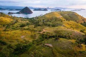 Liburan ke Labuan Bajo: Panduan Lengkap, Harga Tiket, dan Tips Hemat
