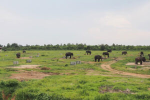 Exploring the Natural and Cultural Wonders of Lampung, Indonesia