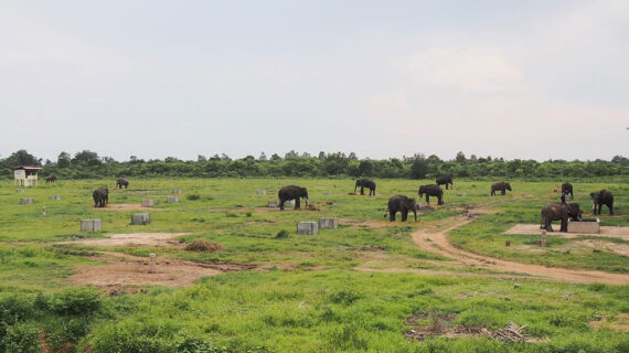 Exploring the Natural and Cultural Wonders of Lampung, Indonesia