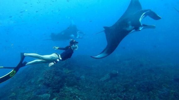Snorkeling with Manta Rays in Nusa Penida: A Comprehensive Guide to the Ultimate Underwater Experience
