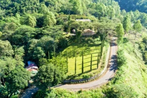 Exploring the Cultural Treasures of Flores: 10 Traditional Villages to Discover