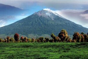Taman Nasional Kerinci Seblat: Keajaiban Alam dan Konservasi di Pulau Sumatra