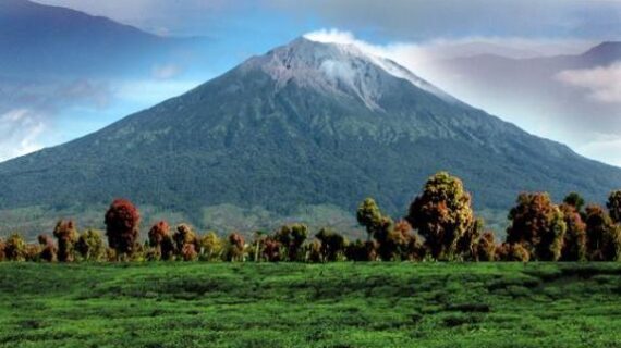 Taman Nasional Kerinci Seblat: Keajaiban Alam dan Konservasi di Pulau Sumatra