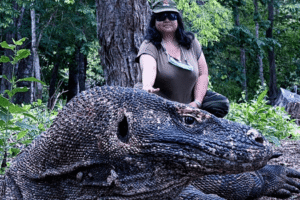 Private and Sharing Tour Packages in Labuan Bajo: Guide and Safe Travel Tips