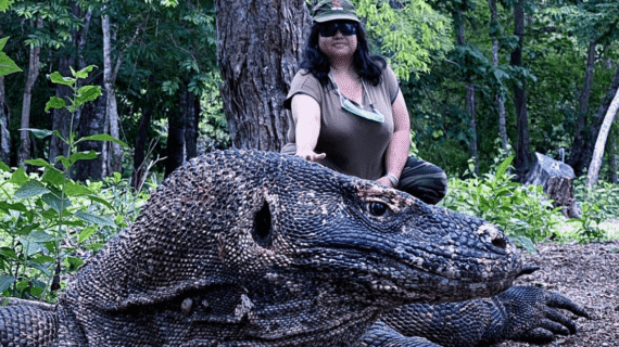 Private and Sharing Tour Packages in Labuan Bajo: Guide and Safe Travel Tips